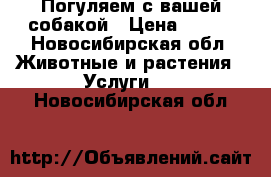 Погуляем с вашей собакой › Цена ­ 300 - Новосибирская обл. Животные и растения » Услуги   . Новосибирская обл.